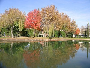 PMB1